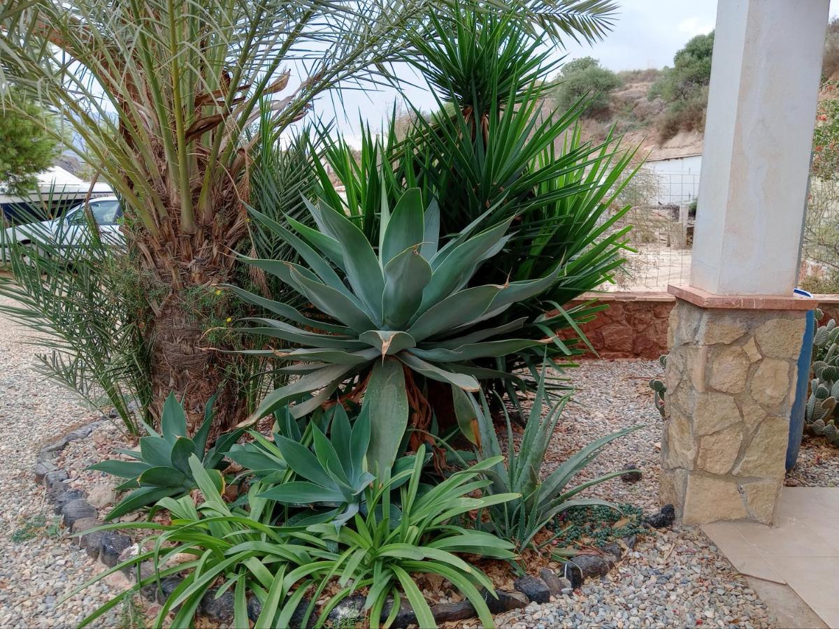 Cortijo Rural Molino El Tarahal Con Piscina Y Zonas Compartidas Екстериор снимка