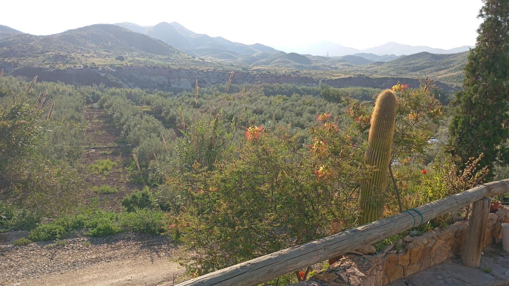 Cortijo Rural Molino El Tarahal Con Piscina Y Zonas Compartidas Екстериор снимка